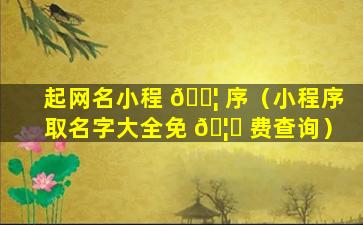 起网名小程 🐦 序（小程序取名字大全免 🦅 费查询）